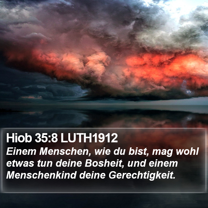 Hiob 35:8 LUTH1912 Bible Study