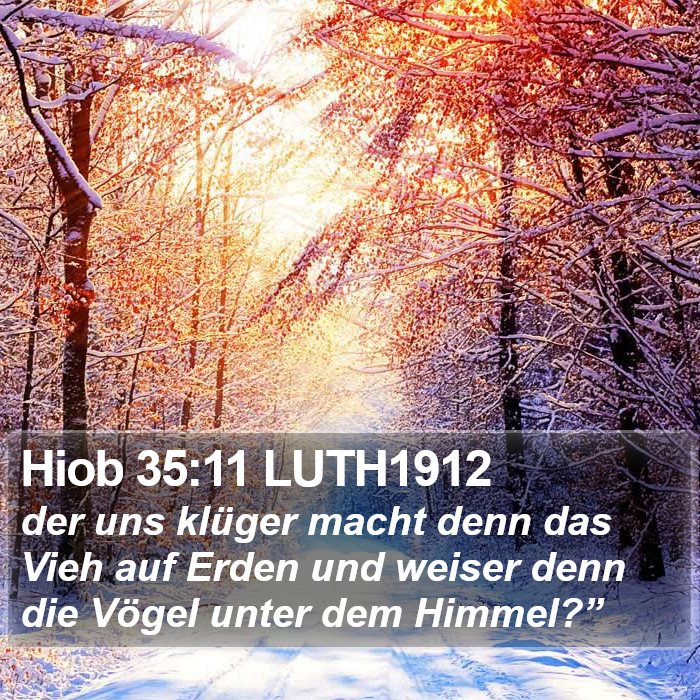 Hiob 35:11 LUTH1912 Bible Study