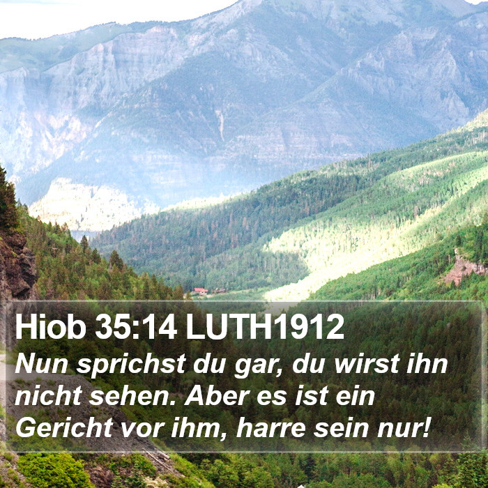 Hiob 35:14 LUTH1912 Bible Study