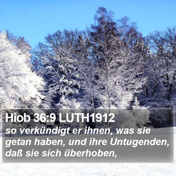 Hiob 36:9 LUTH1912 Bible Study