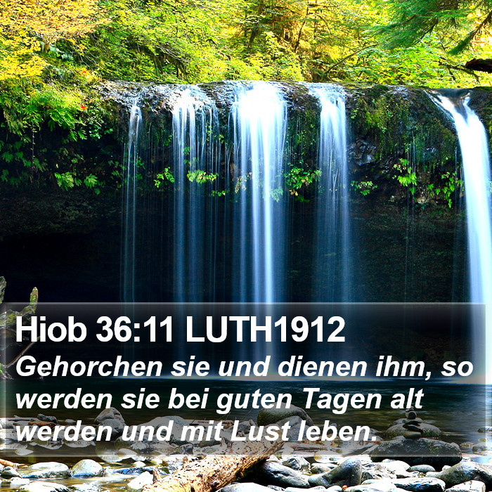 Hiob 36:11 LUTH1912 Bible Study