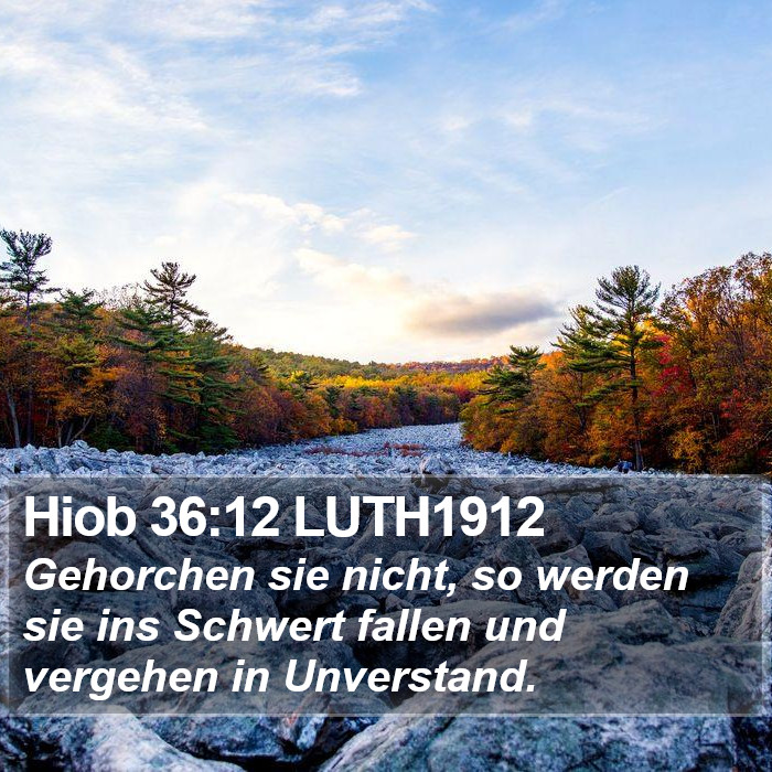Hiob 36:12 LUTH1912 Bible Study