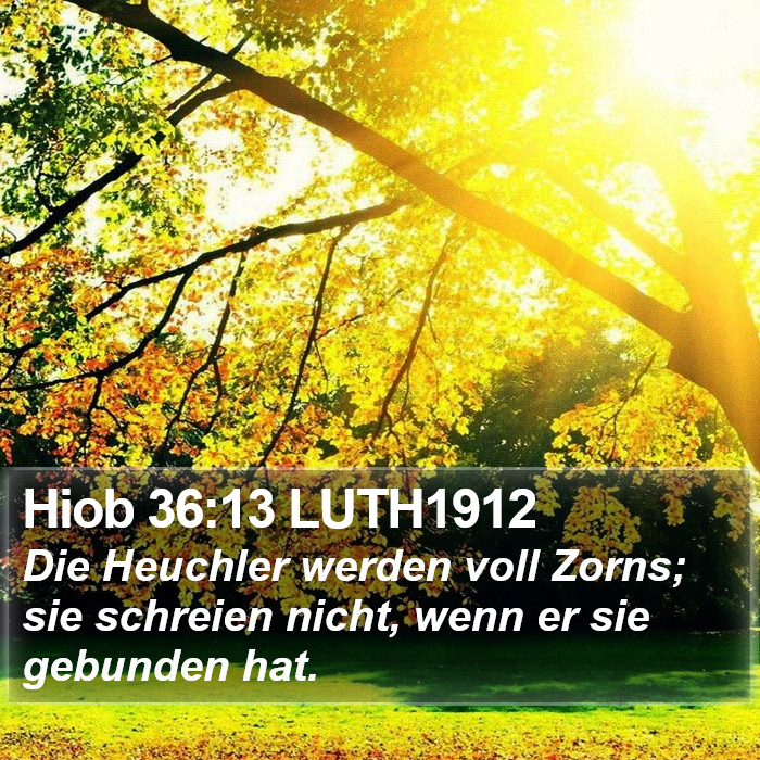 Hiob 36:13 LUTH1912 Bible Study