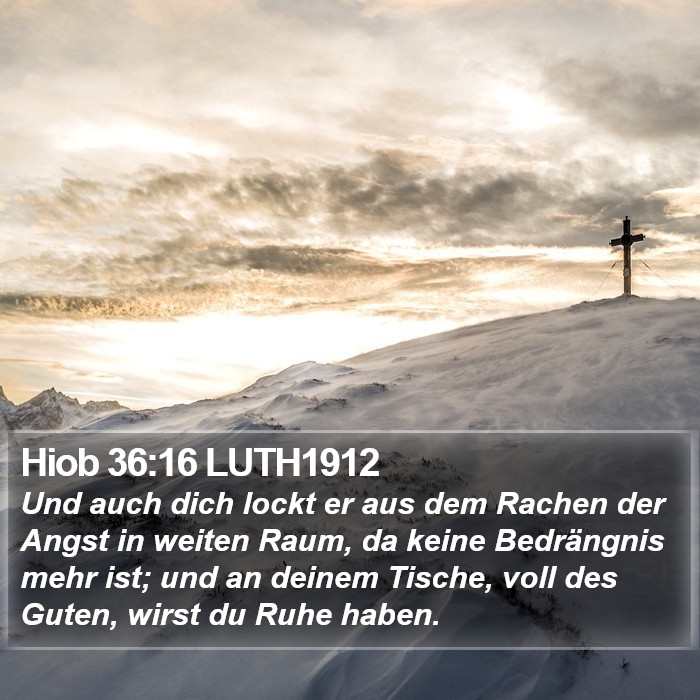 Hiob 36:16 LUTH1912 Bible Study