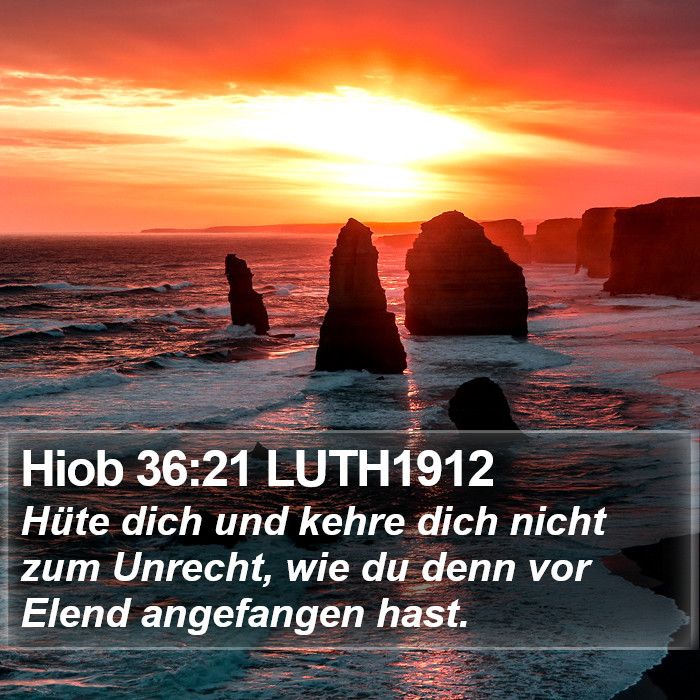 Hiob 36:21 LUTH1912 Bible Study