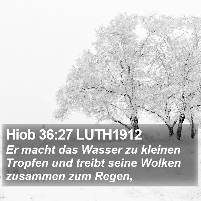 Hiob 36:27 LUTH1912 Bible Study