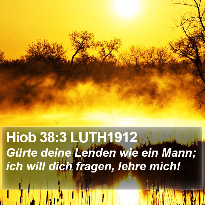 Hiob 38:3 LUTH1912 Bible Study
