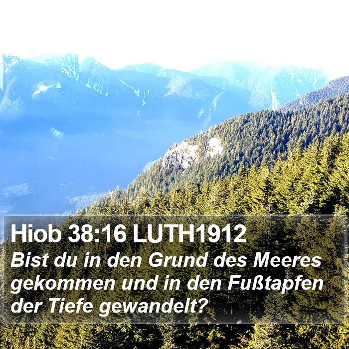 Hiob 38:16 LUTH1912 Bible Study
