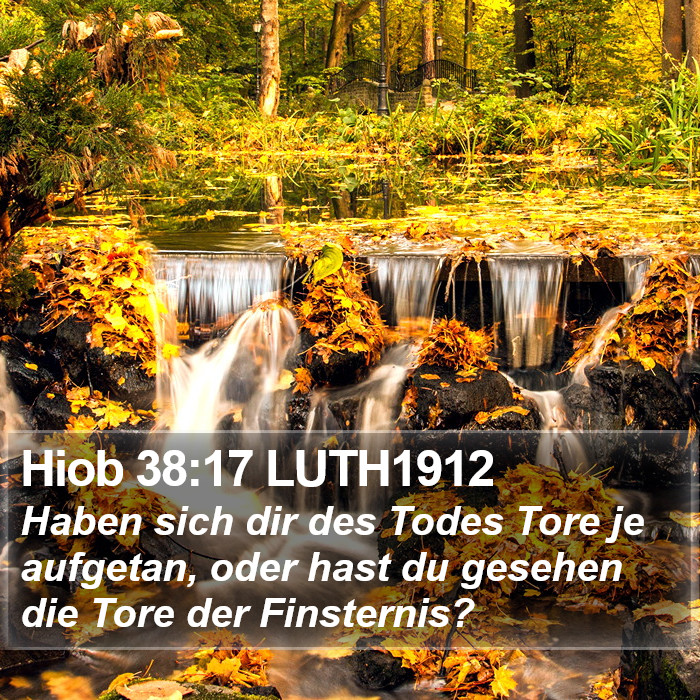 Hiob 38:17 LUTH1912 Bible Study