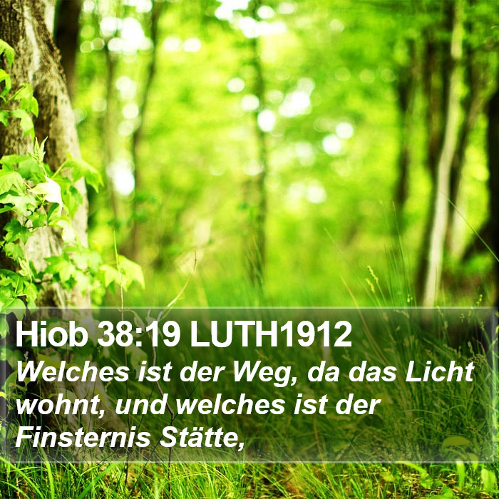 Hiob 38:19 LUTH1912 Bible Study