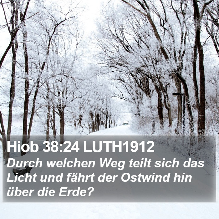 Hiob 38:24 LUTH1912 Bible Study