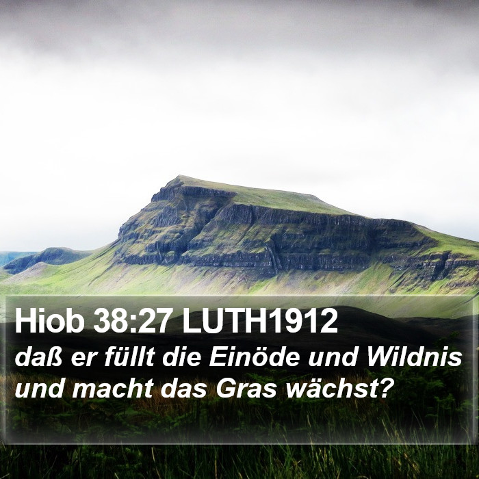 Hiob 38:27 LUTH1912 Bible Study