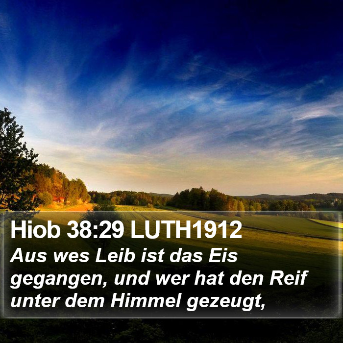 Hiob 38:29 LUTH1912 Bible Study