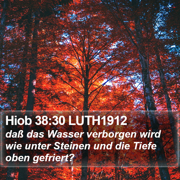 Hiob 38:30 LUTH1912 Bible Study