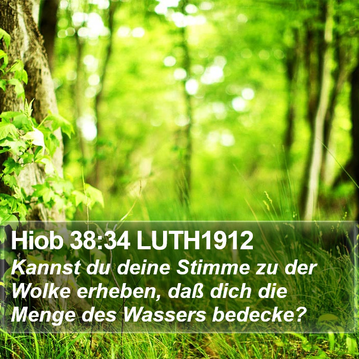 Hiob 38:34 LUTH1912 Bible Study