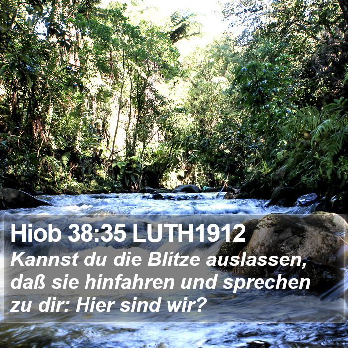Hiob 38:35 LUTH1912 Bible Study