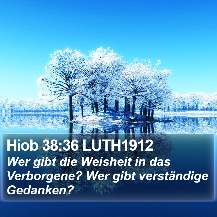Hiob 38:36 LUTH1912 Bible Study