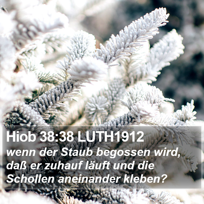 Hiob 38:38 LUTH1912 Bible Study