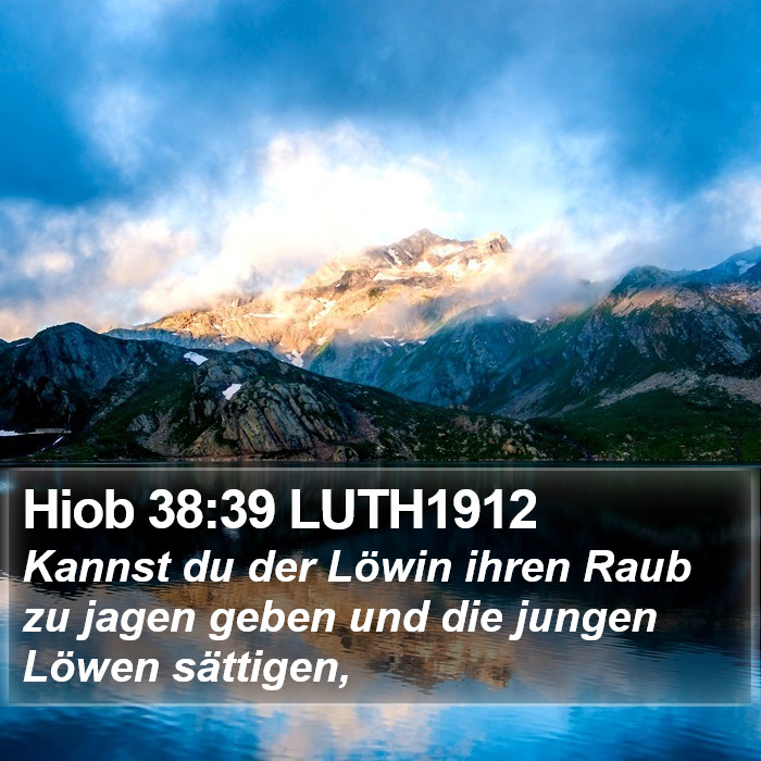 Hiob 38:39 LUTH1912 Bible Study