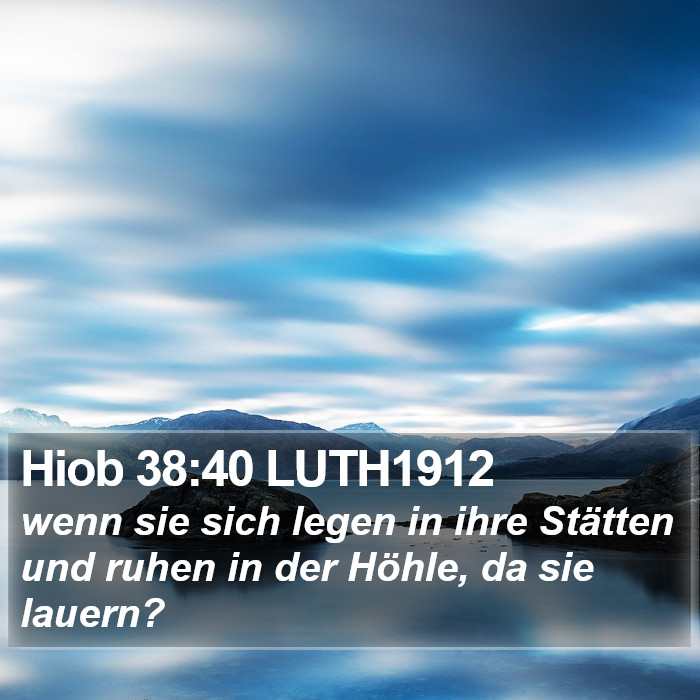 Hiob 38:40 LUTH1912 Bible Study
