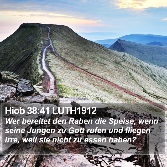 Hiob 38:41 LUTH1912 Bible Study