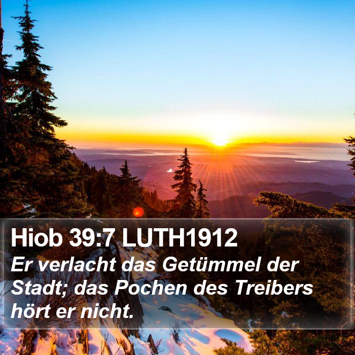 Hiob 39:7 LUTH1912 Bible Study