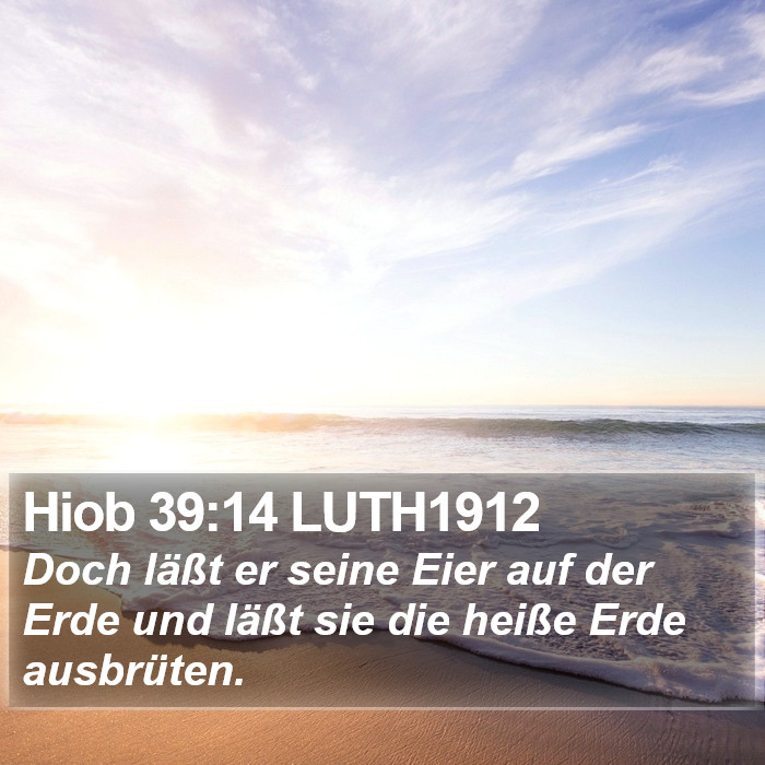 Hiob 39:14 LUTH1912 Bible Study