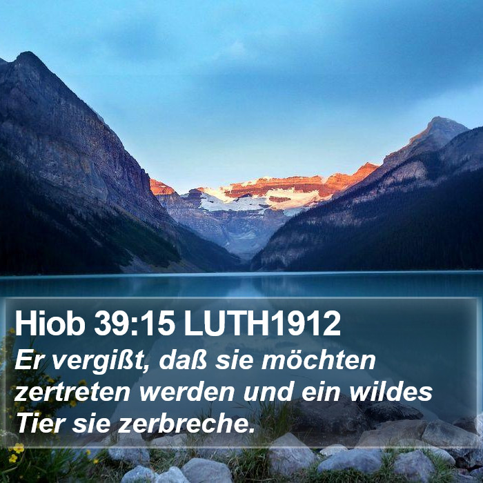 Hiob 39:15 LUTH1912 Bible Study