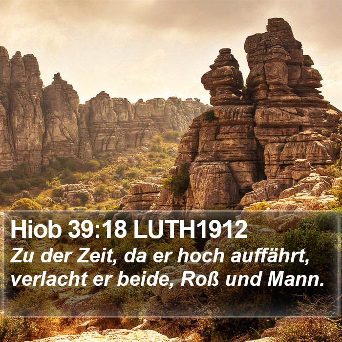 Hiob 39:18 LUTH1912 Bible Study