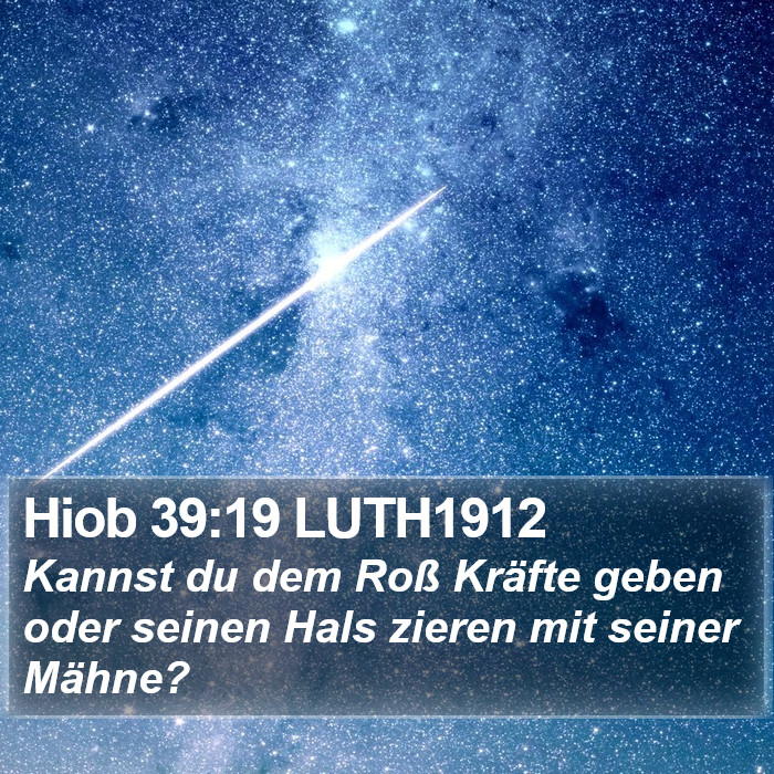 Hiob 39:19 LUTH1912 Bible Study