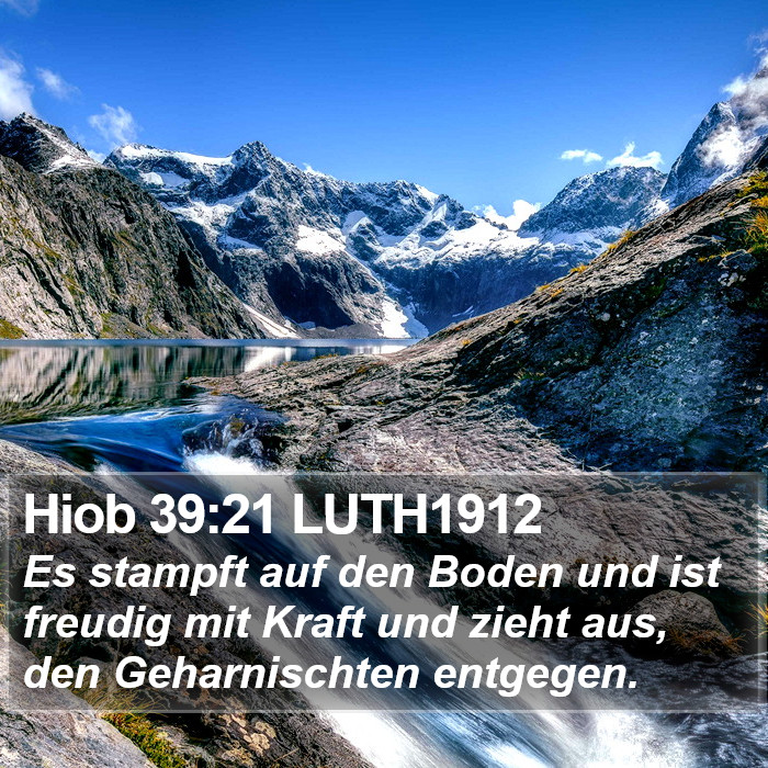 Hiob 39:21 LUTH1912 Bible Study
