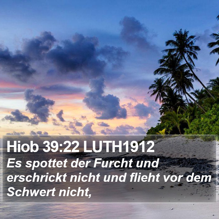 Hiob 39:22 LUTH1912 Bible Study