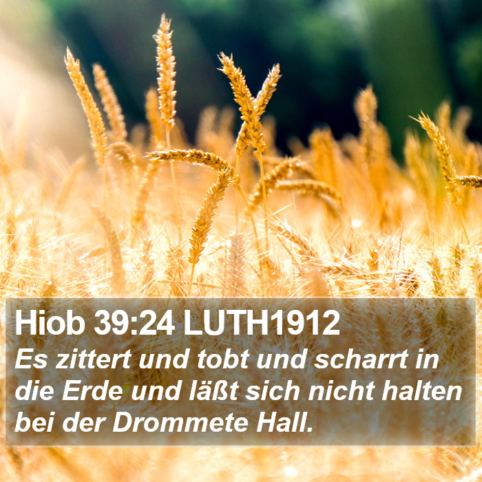 Hiob 39:24 LUTH1912 Bible Study