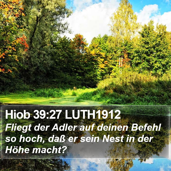 Hiob 39:27 LUTH1912 Bible Study