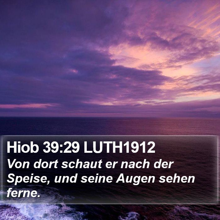 Hiob 39:29 LUTH1912 Bible Study