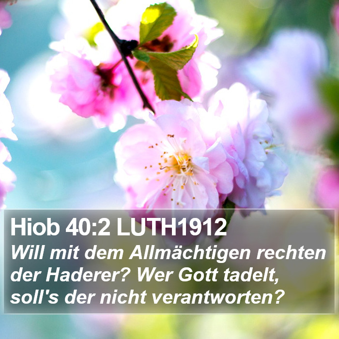 Hiob 40:2 LUTH1912 Bible Study