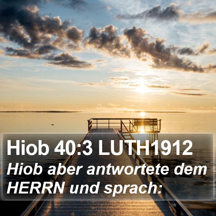 Hiob 40:3 LUTH1912 Bible Study