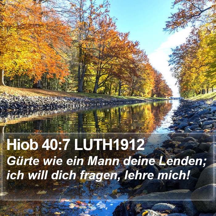 Hiob 40:7 LUTH1912 Bible Study