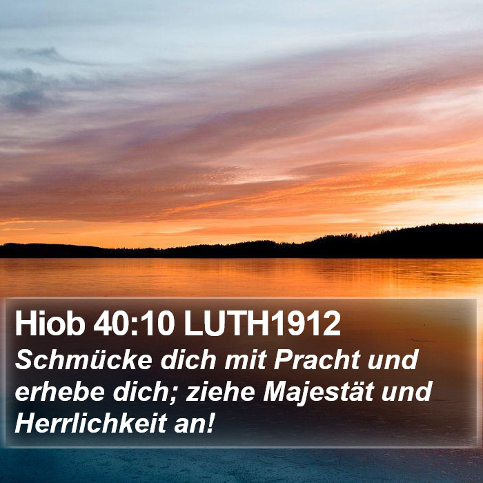Hiob 40:10 LUTH1912 Bible Study