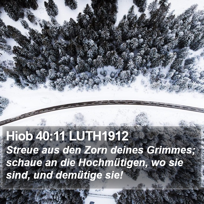 Hiob 40:11 LUTH1912 Bible Study