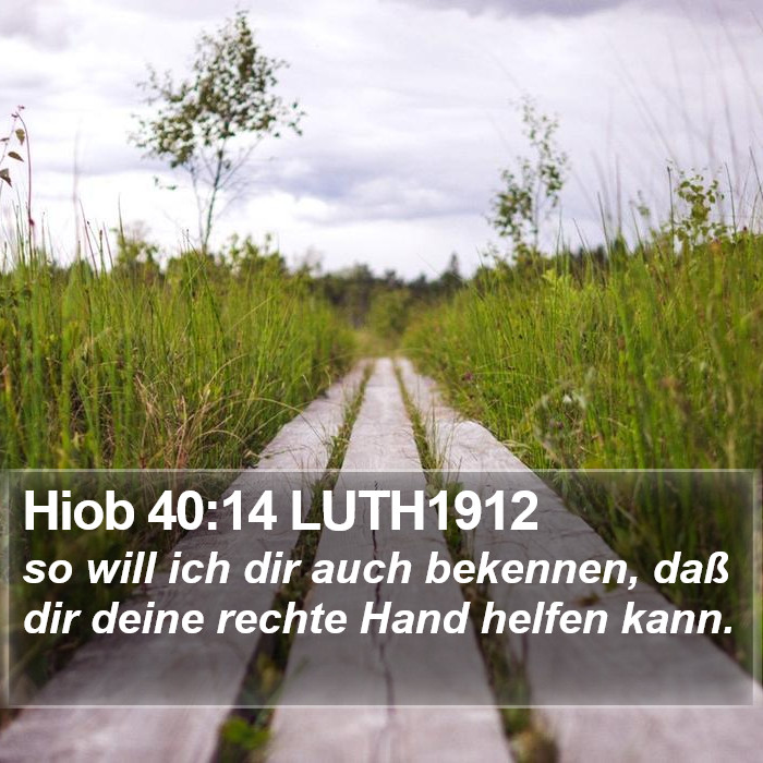 Hiob 40:14 LUTH1912 Bible Study