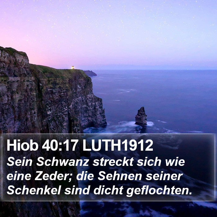 Hiob 40:17 LUTH1912 Bible Study