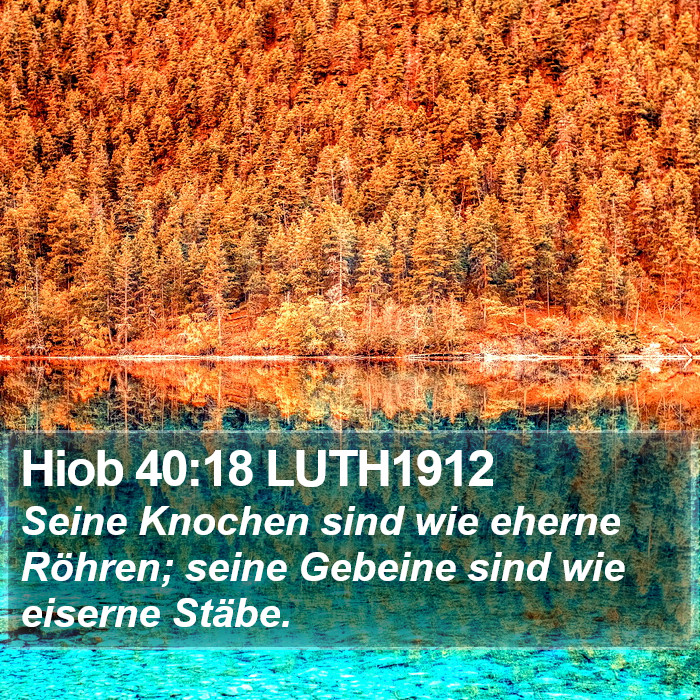 Hiob 40:18 LUTH1912 Bible Study