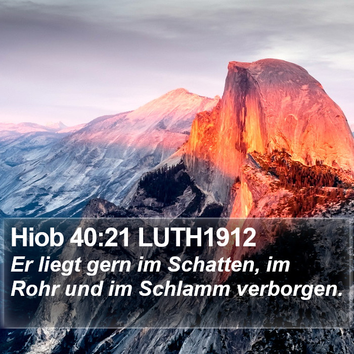 Hiob 40:21 LUTH1912 Bible Study