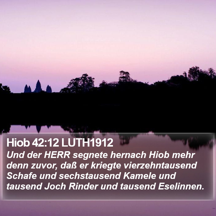 Hiob 42:12 LUTH1912 Bible Study