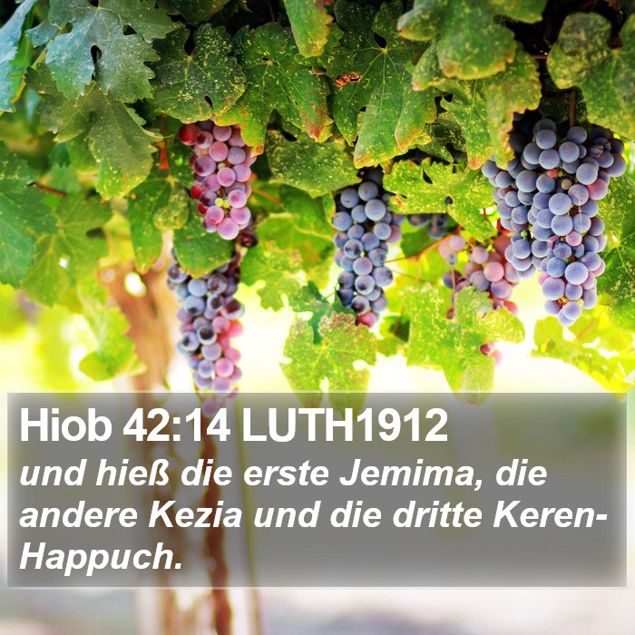 Hiob 42:14 LUTH1912 Bible Study