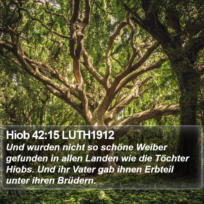 Hiob 42:15 LUTH1912 Bible Study