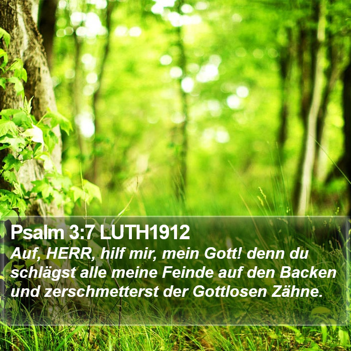 Psalm 3:7 LUTH1912 Bible Study