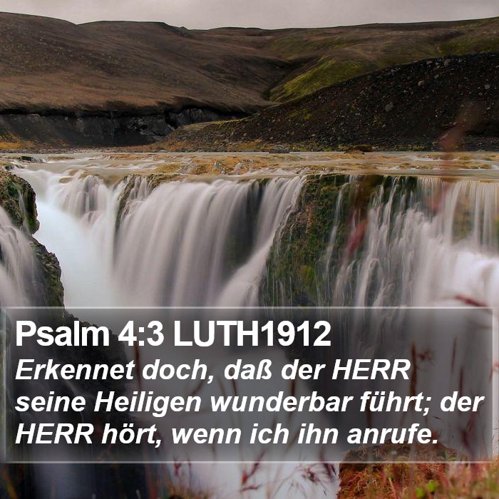 Psalm 4:3 LUTH1912 Bible Study