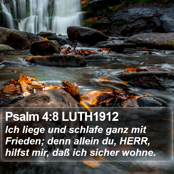 Psalm 4:8 LUTH1912 Bible Study